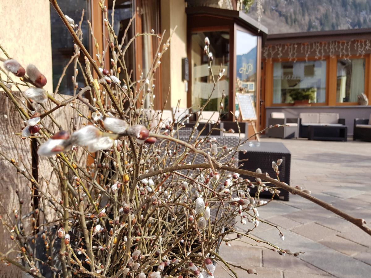 Hotel Pedretti Branzi Exteriör bild